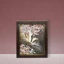 Mel Design Cherry Blossoms